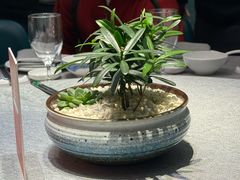 -绿波廊(豫园店)