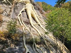 -丹东天桥沟景区