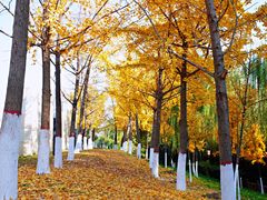 景点-西安汉城湖景区