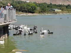 -新疆天山野生动物园