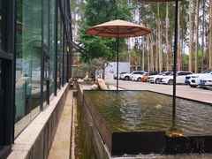 -桉树林A coffee 森林餐厅(三圣乡店)
