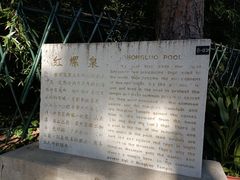 -红螺寺