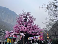-河南宝泉旅游区