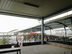-国际邮轮中心码头(厦鼓码头)