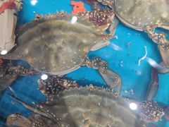 -威海九禧海鲜居渔水饺(经区店)