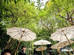 -Fern Forest Cafe