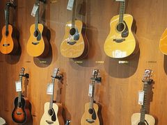 -知音艺术教育培训·钢琴培训·音乐培训(河西金鹰世界校区)