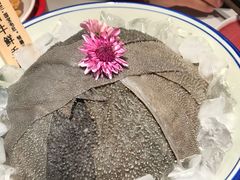 -九鼎轩脆毛肚火锅(三钢里店)