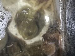 八爪鱼-富港会·海鲜酒楼(墟沟店)