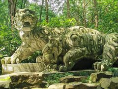 -虎跑公园