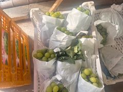 -马陆小张葡萄园农家乐