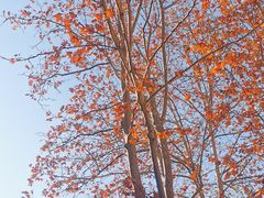 -春晖园度假酒店温泉