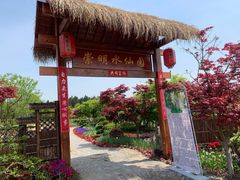 -东平国家森林公园