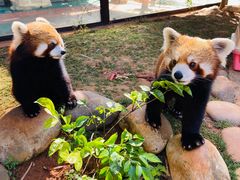 -云南野生动物园