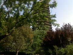 -玲珑塔公园
