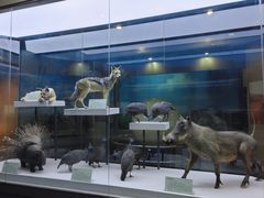 -国家自然博物馆