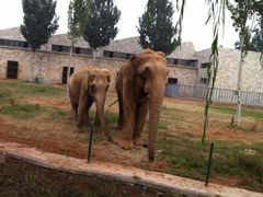 -石家庄市动物园