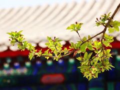 -北海公园