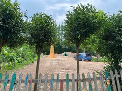 -前小桔亲子创意农场·草莓采摘·露营烧烤