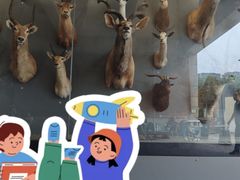 -陕西自然博物馆