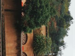 -延安杨家岭革命旧址