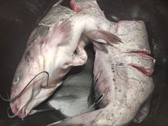 -满兴咱妈烀饼铁锅炖(兰州北街店)