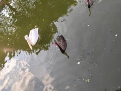 -无锡动物园·太湖欢乐园