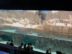 -成都浩海立方海洋公园