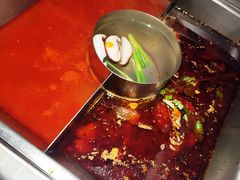 红汤梭边鱼锅-新辣道鱼火锅(西直门店)
