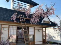 -Blue Concept Cafe&Farm·關於藍