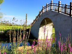 -潘氏风味(中市路店)