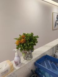 -紫馨整形外科医院