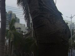 -白沙门生态公园