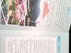 -石老人观光园