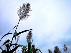 -昆嵛山石门里景区