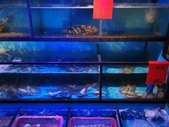 水产区-海底诱惑(中骏世界城店)