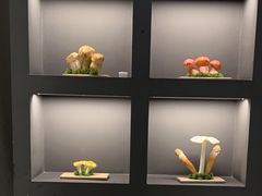 -一朵菌·野生菌探索家火锅(南亚店)