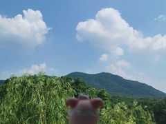 -紫金山山顶公园
