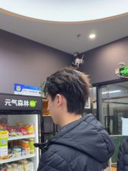 -藤野造型烫染·漂发