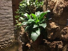 -院落创意菜