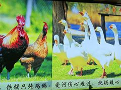 -黑土人家(江桥万达广场店)
