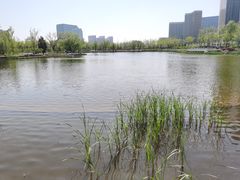 -西海子公园