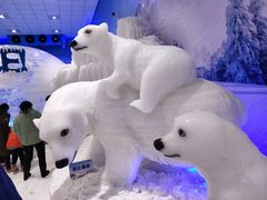 -宁波冰雪大世界(北仑区)