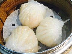 -糖朝(尖沙咀店)