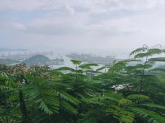 -小南山公园