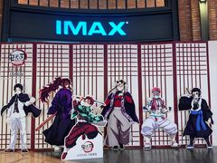 -CGV影城(壹方城IMAX店)