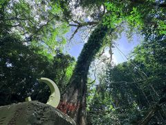 -七仙岭温泉国家森林公园