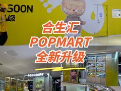 -泡泡玛特POPMART(合生汇店)