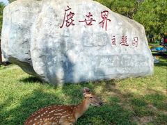 -北京鹿世界主题园