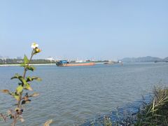 -芒洲湿地公园